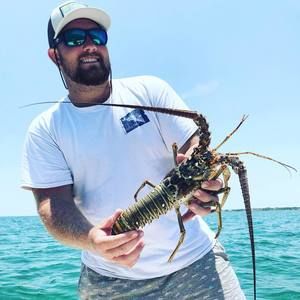 Meet your Posher, Bradley